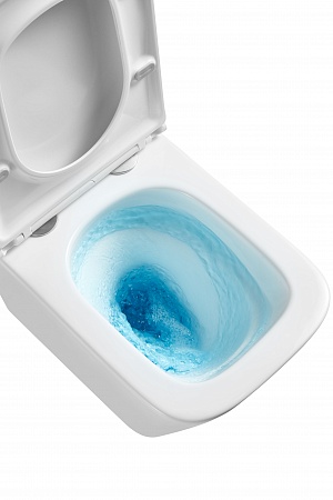 Подвесной унитаз безободковый Terminus Ватикан Monolit 490х340 белый Грозный - фото 8 Подвесной унитаз безободковый Terminus Ватикан Monolit 490х340 белый Грозный - фото 8