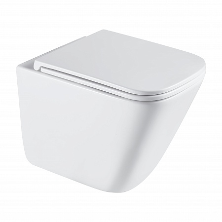 Подвесной унитаз безободковый Terminus Ватикан Monolit 490х340 белый Грозный - фото 2 Подвесной унитаз безободковый Terminus Ватикан Monolit 490х340 белый Грозный - фото 2