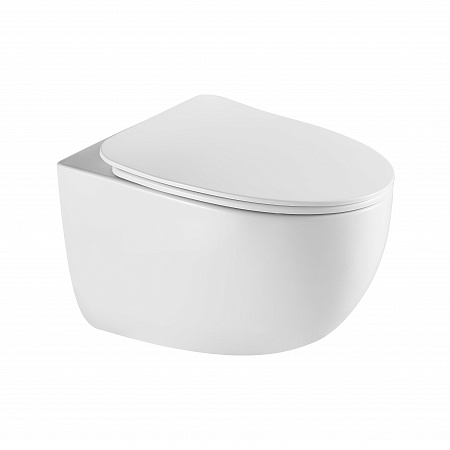 Подвесной унитаз безободковый Terminus Енисей Monolit 560х390 белый Грозный - фото 2 Подвесной унитаз безободковый Terminus Енисей Monolit 560х390 белый Грозный - фото 2