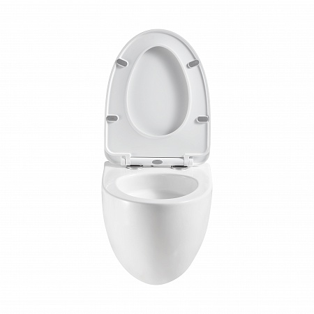 Подвесной унитаз безободковый Terminus Енисей Monolit 560х390 белый Грозный - фото 5 Подвесной унитаз безободковый Terminus Енисей Monolit 560х390 белый Грозный - фото 5