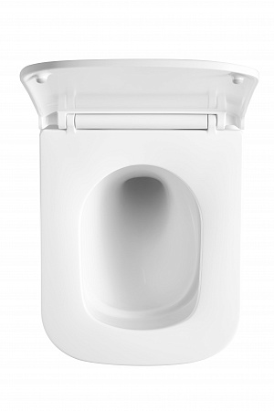 Подвесной унитаз безободковый Terminus Ватикан Monolit 490х340 белый Грозный - фото 3 Подвесной унитаз безободковый Terminus Ватикан Monolit 490х340 белый Грозный - фото 3